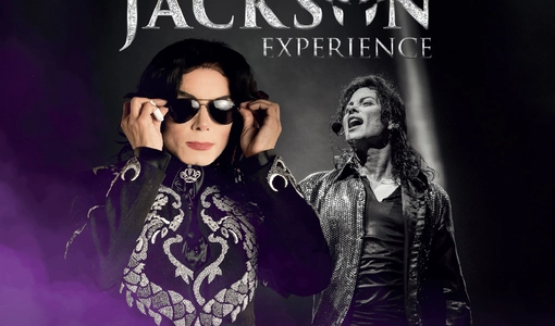 The Mickael Jackson Experience